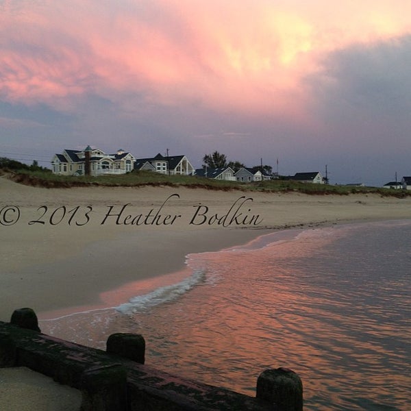 Are Dogs Allowed On Cape May Beaches