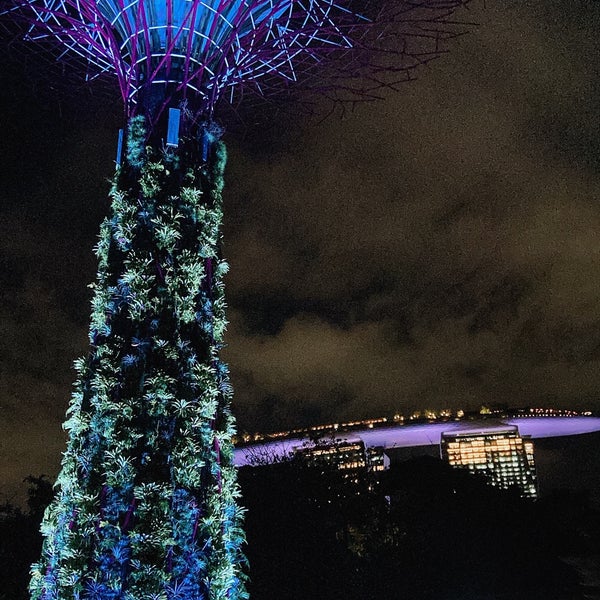 Photo taken at Gardens by the Bay by 大谷 剛. on 5/6/2024