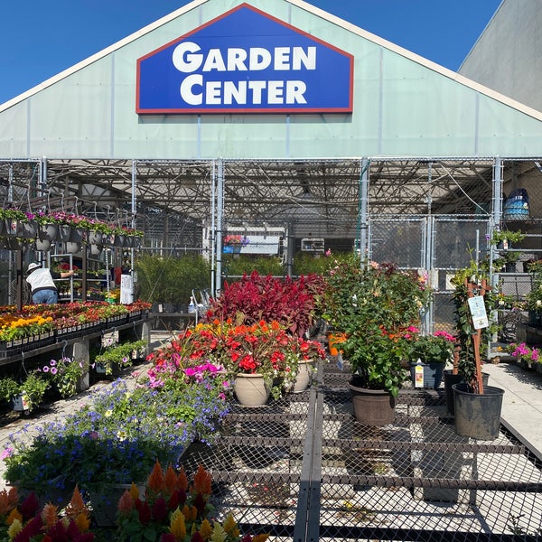 lowes monkey junction