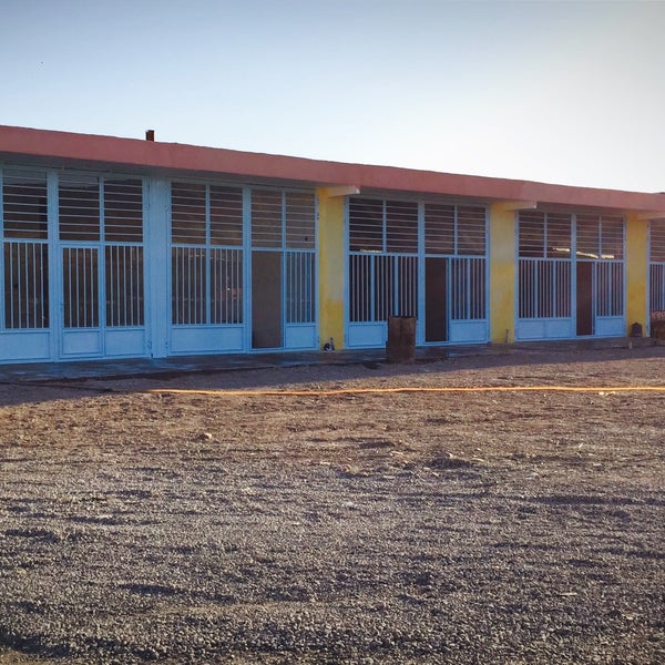 TJ's Parking پاركينگ تی جی