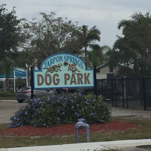 Live Oak Dog/Splash Park Dog Park