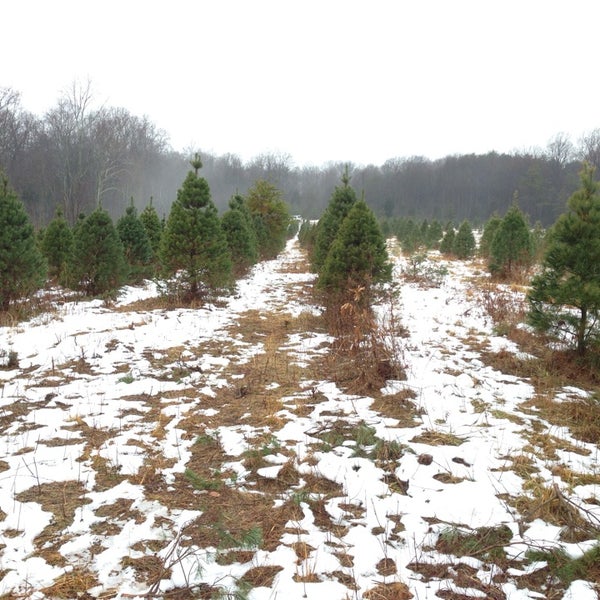 Meyer Tree Farm Farm in Borden
