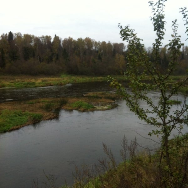 Костино речка. Костино Омская область. Костино река. Река Песоченка д.Костино.