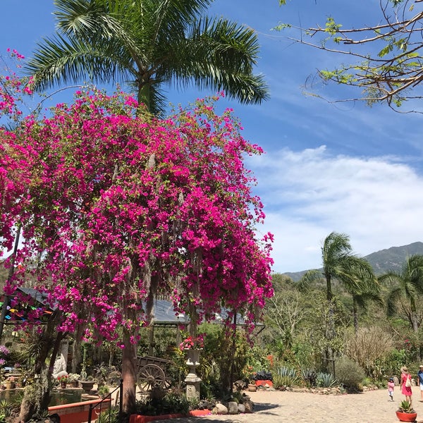 Photo taken at Vallarta Botanical Gardens by Jim C. on 4/23/2019