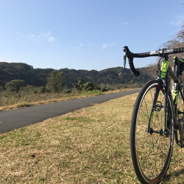 羽村市水上公園 Pool In 羽村市