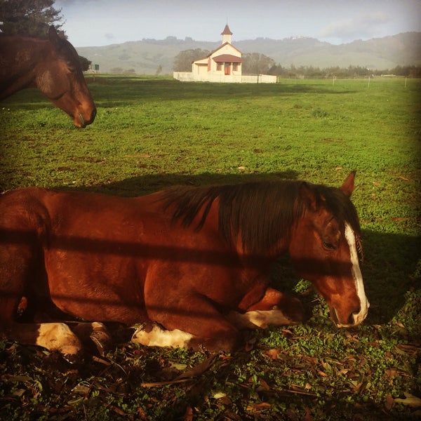 Photo taken at Hearst Ranch Winery by Kim L. on 12/22/2014