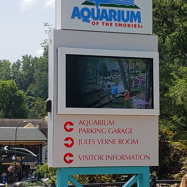 Снимок сделан в Ripley&#39;s Aquarium of the Smokies пользователем Julie 8/13/2018