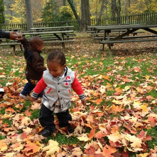 Photo taken at Hagley Museum and Library by Candis P. on 10/28/2012