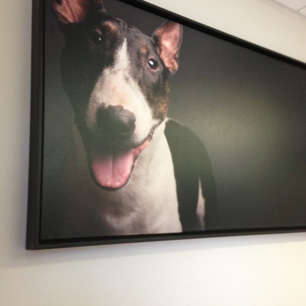 VCA Mission Animal Hospital - Veterinarian VCA Mission Animal Hospital - Veterinarian