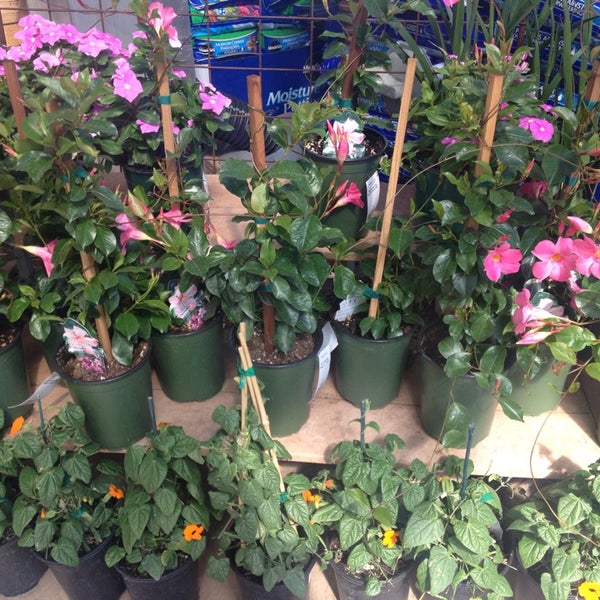 Warner S Nursery Landscape 1101 E Butler Ave