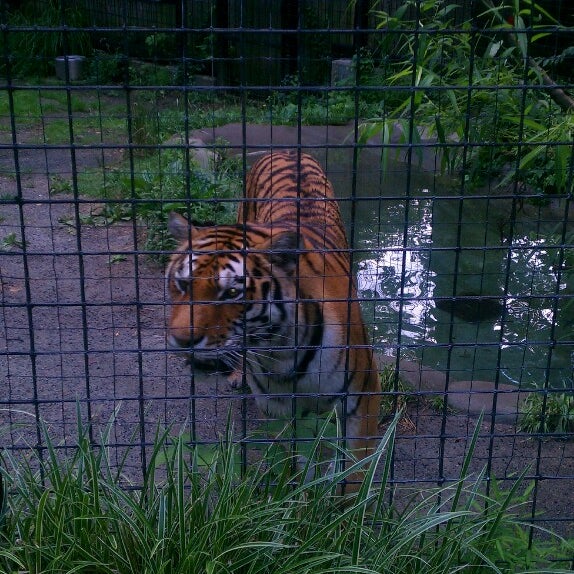 6/29/2013에 Elise H.님이 Brandywine Zoo에서 찍은 사진