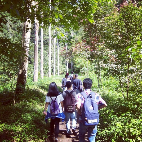 Photos At Taman Hutan Raya Goa Jepanggoa Belanda Mountain