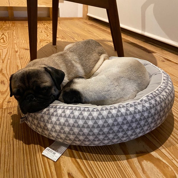 ニトリ 鹿児島南栄店 鹿児島市 鹿児島県