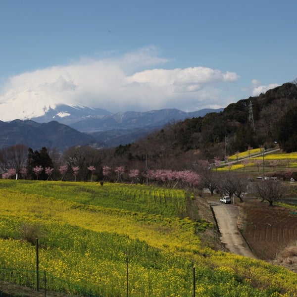 Photos At ふるさと農園四季の里 蜂花苑 Farm In 足柄上郡大井町