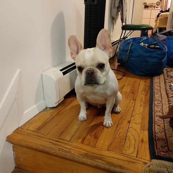 Photos at Regal Gilbert Movie Theater in Gilbert Town Square