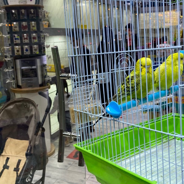 Cute Cat Pet Supplies Store in Riyadh