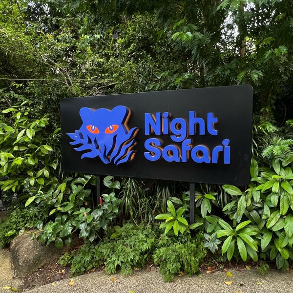 2/24/2024にAがNight Safariで撮った写真