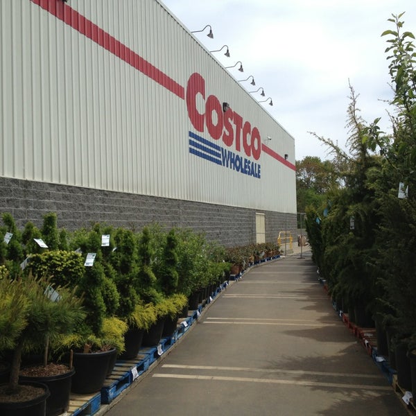 quicken willmaker plus 2019 costco