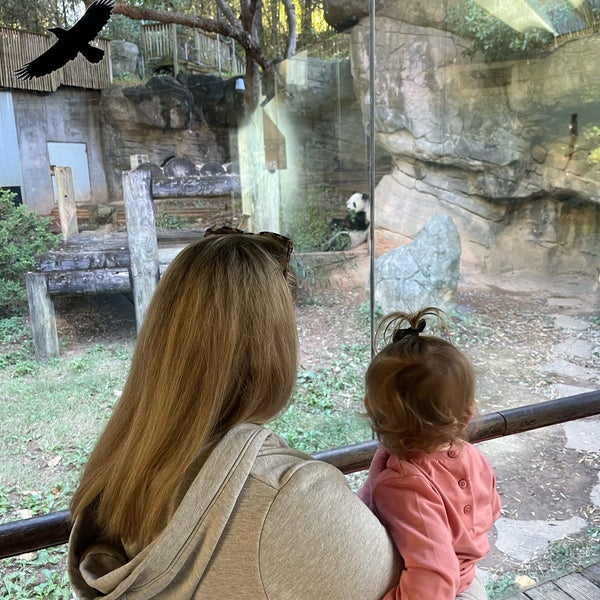 10/15/2022 tarihinde Kelly C.ziyaretçi tarafından Zoo Atlanta'de çekilen fotoğraf
