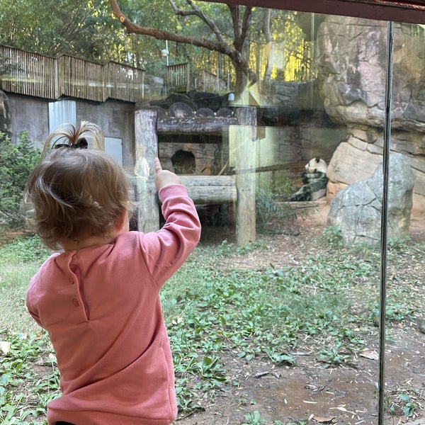 รูปภาพถ่ายที่ Zoo Atlanta โดย Kelly C. เมื่อ 10/15/2022