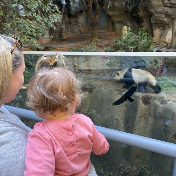 Das Foto wurde bei Zoo Atlanta von Kelly C. am 10/15/2022 aufgenommen