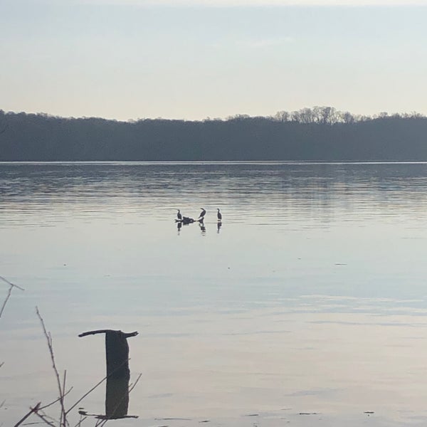 Belle Haven Marina Harbor or Marina in Alexandria
