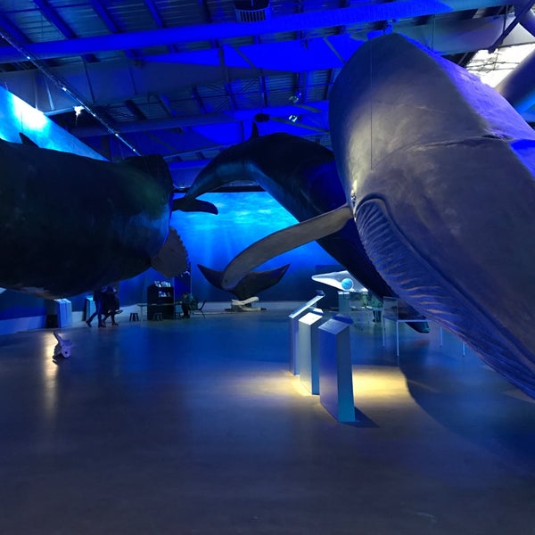 Nice museum. Can learn lots about whales. The real sized models are very well made. Very good experience.