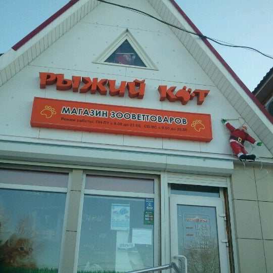 Рыжий кот оренбург