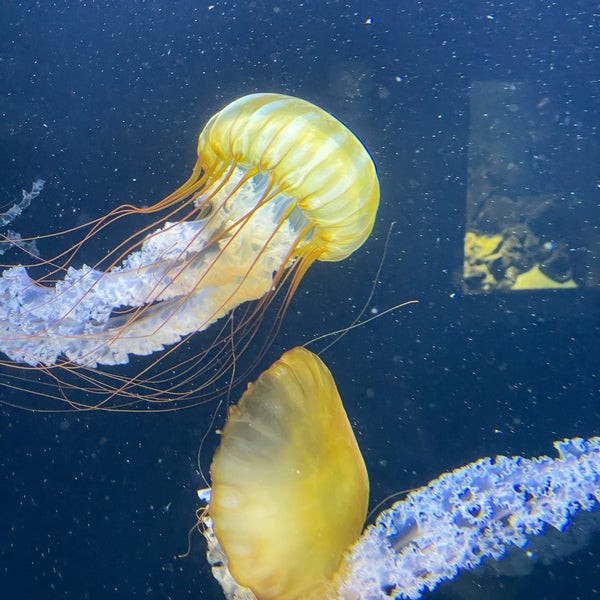 Photo taken at Aquarium Berlin by Bassel K. on 8/31/2021