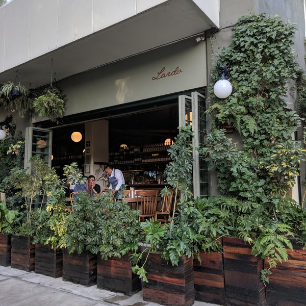 Lardo Condesa 358 tips de 5663 visitantes