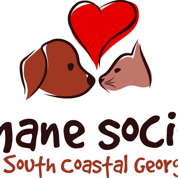 4/29/2015にHumane Society of South Coastal GAがHumane Society of South Coastal GAで撮った写真