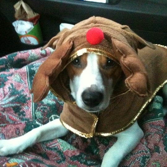 PetSmart Pet Supplies Store in Hickory