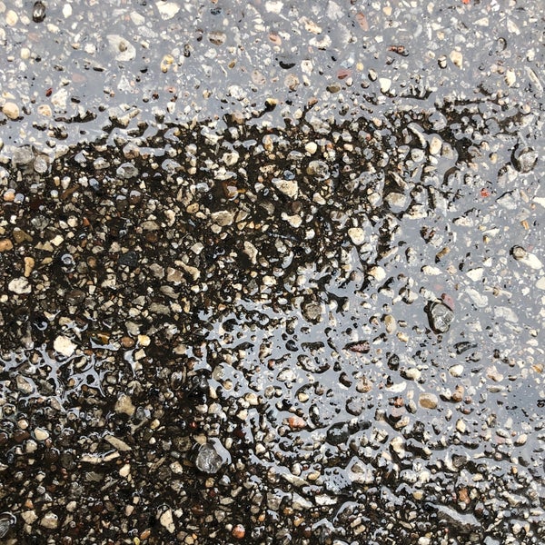 Pet Supplies Plus N. Elston Pet Supplies Store in Chicago