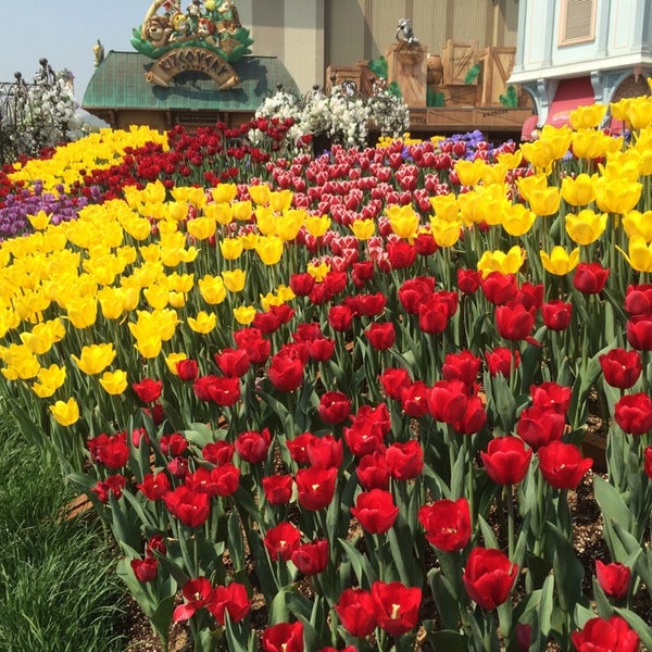 Photos At Golden Forest River Residence 장안1동 천호대로 - 