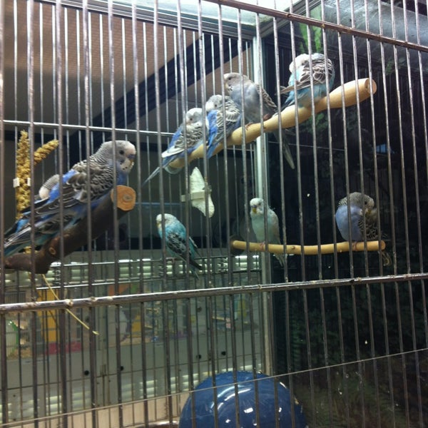 PetSmart 2940 Springfield Rd