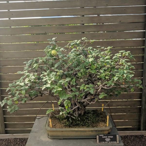 Photos at Jardí Botànic de Barcelona - Garden in Parc de Montjuïc Photos at Jardí Botànic de Barcelona - Garden in Parc de Montjuïc