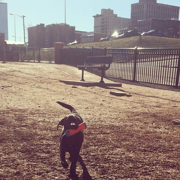 Photos at PetSafe Downtown Dog Park Dog Runs in Knoxville