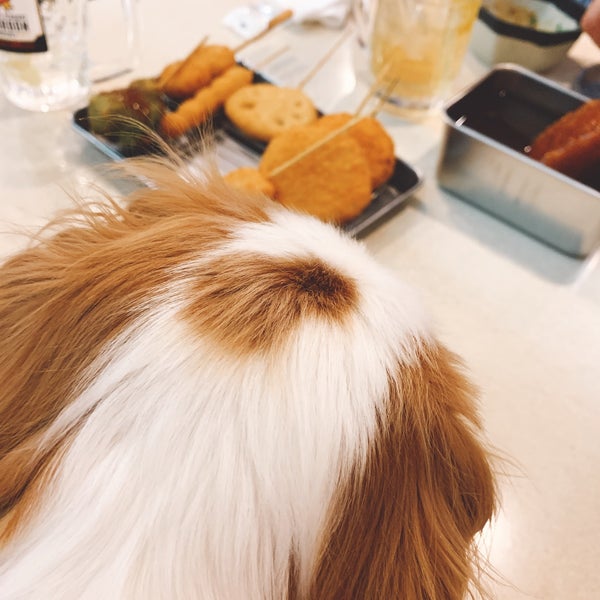 串カツ田中 大森 78 Visitors