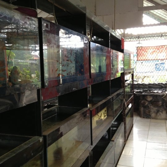 pet shop alam sutera