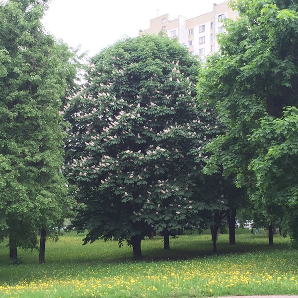 Купить Комнату В Москве Метро Волжская