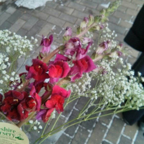 Photos At Cheshire Nursery Ct Photo Taken At Cheshire Nursery By Aaron S On 1 5 2017