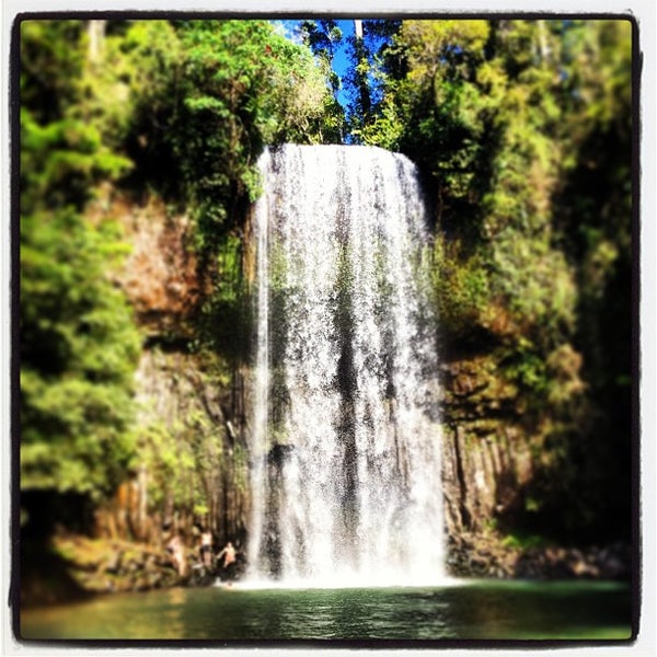 Millaa Millaa Falls Waterfall