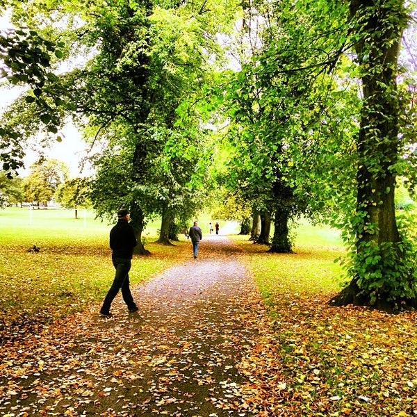 V s park. V s park