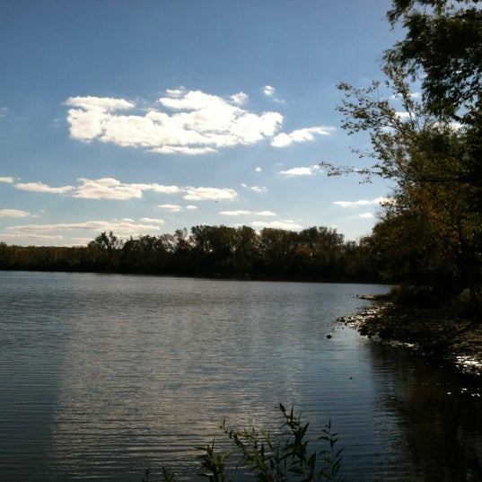 Bullfrog Lake Willow Springs, IL