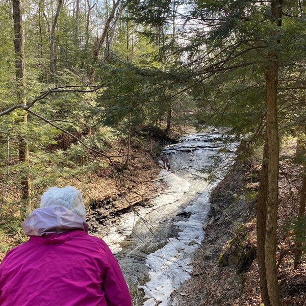 Bridal Veil Falls Bedford Oh