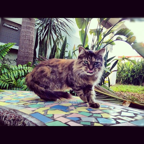 11/24/2012 tarihinde Amor D.ziyaretçi tarafından El Paseo Hotel Miami Beach'de çekilen fotoğraf