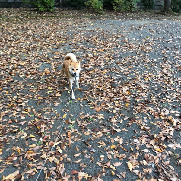 Photos At 片倉台車石公園 八王子市 東京都