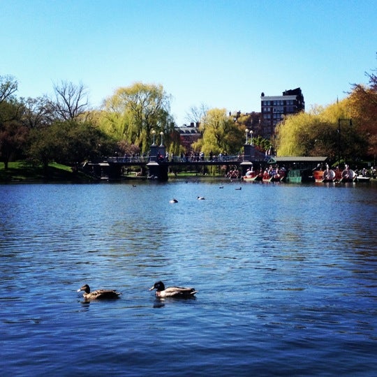 Fotos en Boston Public Garden - Jardín en Boston