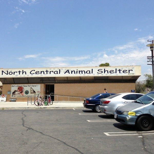 central animal shelter