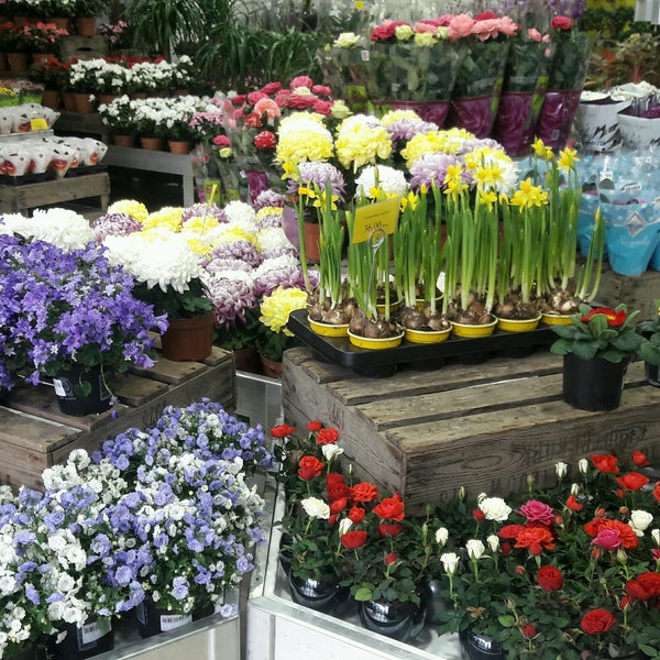 Цветы Купить Спб Недорого Цветоптторг